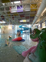 Frog Slide at the Durango Rec Center (copyright city of Durango, CO)