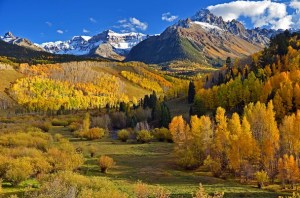 Golden state in Colorado's San Juan Mountains. (Photo by Thomas Morse)