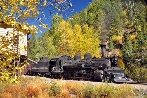 The Durango and Silverton train steams past fall foliage in the San Juan National Forest. (Photo: Durango & Silverton Narrow Gauge Railroad.)