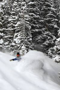 Get a face full of powder at Durango Mountain Resort.