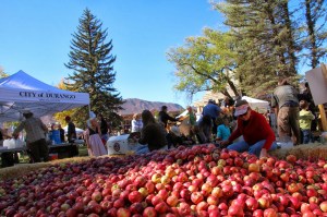 "Is this one bruised? This one? This one? ... I'm going to be here a long time." 