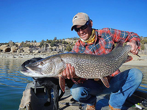 Photo courtesy of Duranglers.