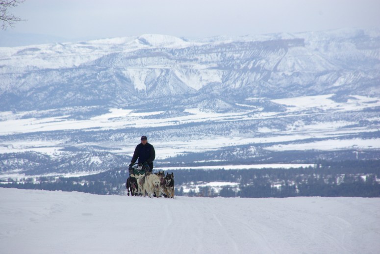 Durango Dog Ranch_dog sled rides