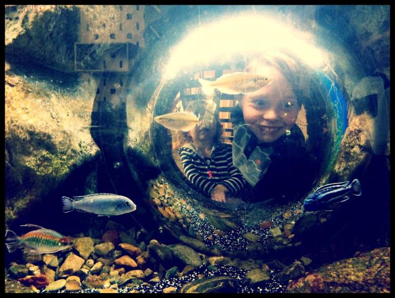 Durango Powerhouse Science Center in Durango, Colorado