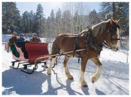 old-fashioned-sleigh-rides-durango