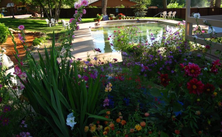 Trimble Hot Springs Spa Durango